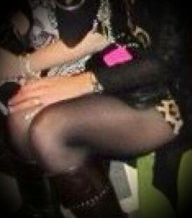 fibishouse's profile picture. 