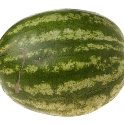 The love for watermelon may not be great but it shall be strong. - Watermelon Andy