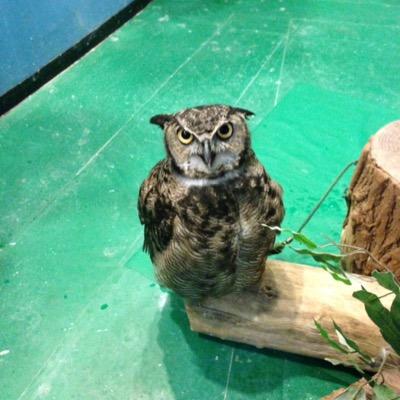 かんな@6/15東6る62bさんのプロフィール画像