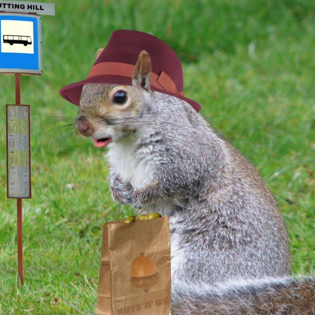 Ionsiscle's profile picture. Business Manager