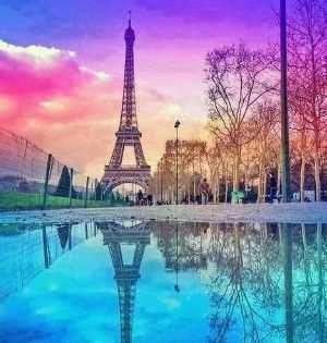 Buschinilove's profile picture. tv