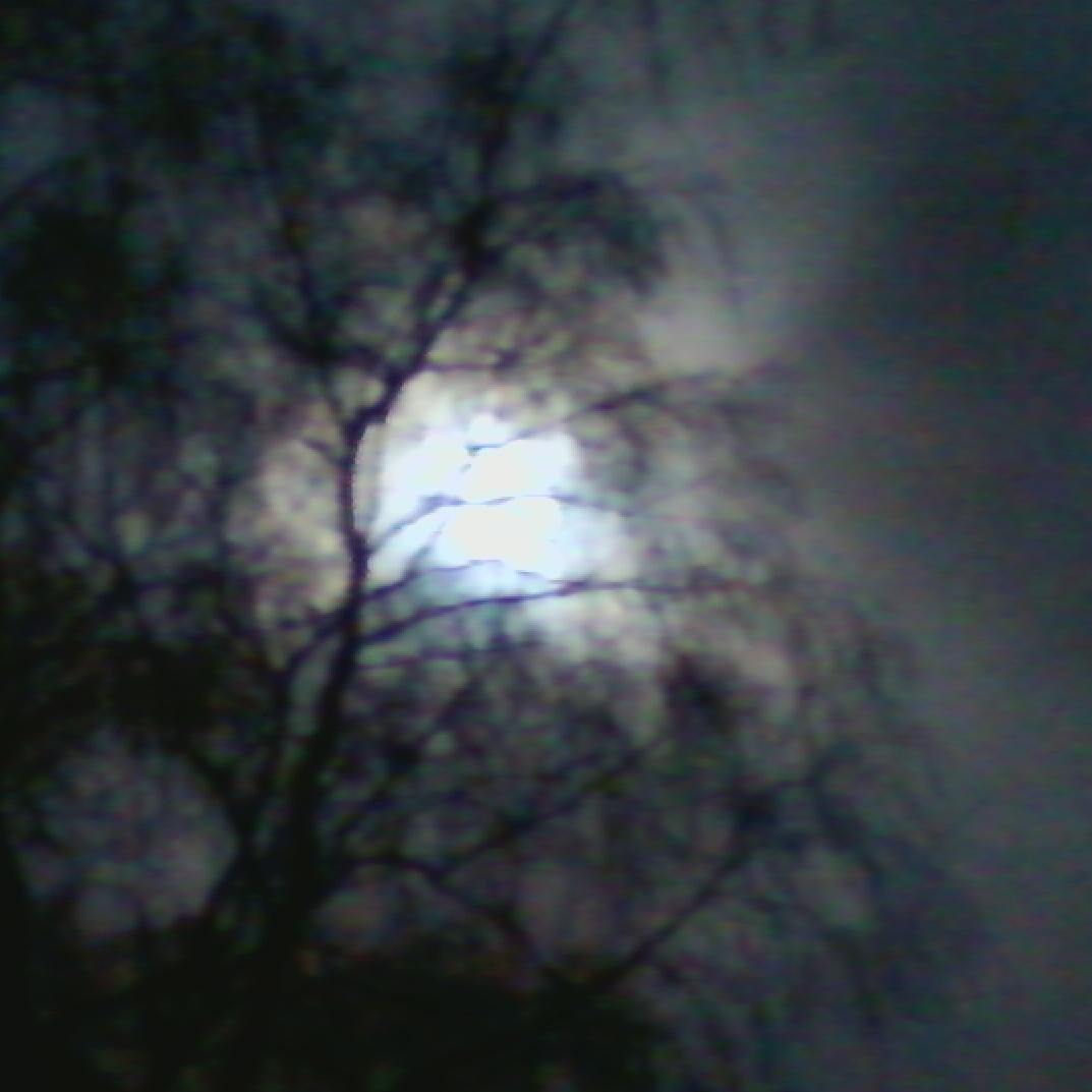 Panzerforst is a non-profit netlabel / platform dedicated to dark, nihilistic or romantic music like Black Metal/Dark Folk/Post Industrial and nature.