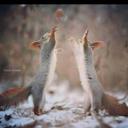 Sur Sur (@11_sur) Twitter