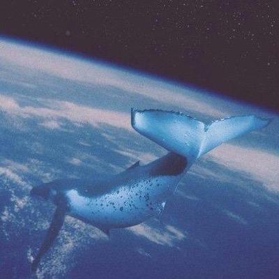 Мой твиттер - мой дневник .        Если тебе интересна жизнь типичного депрессивного подростка,то добро пожаловать!