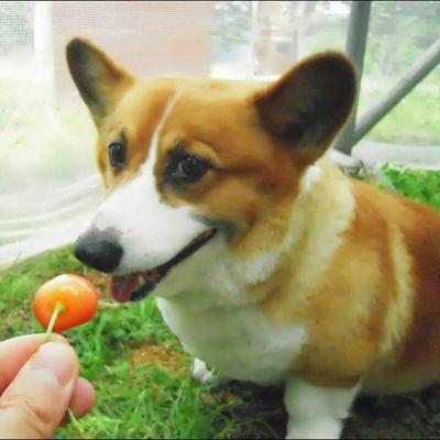 d_suke_san's profile picture. 🍀1度しかない人生、楽しく生きたい🍀３度の飯よりラーメン好き🍜　好きなモノ・コト／食べ歩き、男の料理、海釣り、スキー、サイクリング、読書等々／モットー「群れない、群れすぎない」