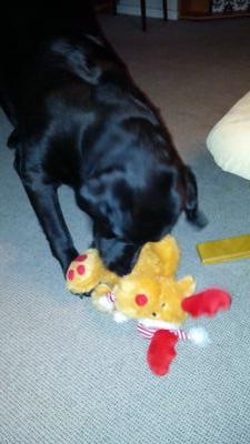 rasmussen_grete's profile picture. 