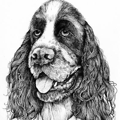 SirUpdog's profile picture. biohazardous