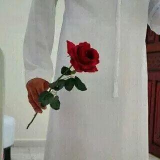 AliAlbadi12's profile picture. 