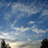 TacklingCloud's profile picture. Salesforce Solutions, Innovation & Support