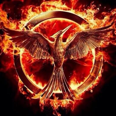 Twitter for the Facebook page District Hunger Games, run by admins ~KatnissMellark and ~KatnissRuePrim , follow us if you love the hunger games!!
