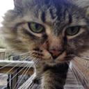 Jocelyn Mack - @Jocelyn56972923 - Twitter