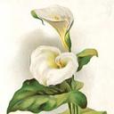 Sandra Morrison - @sandra_mcewan - Twitter