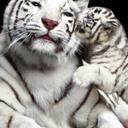 Lea Frank - @42cb0a90308f4b6 - Twitter