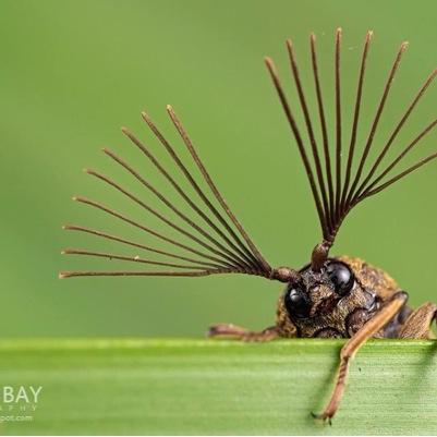 Microcutzzz's profile picture. 