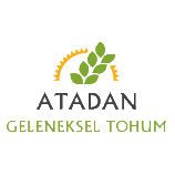 ATADAN TOHUM (@atadantohum) 's Twitter Profile