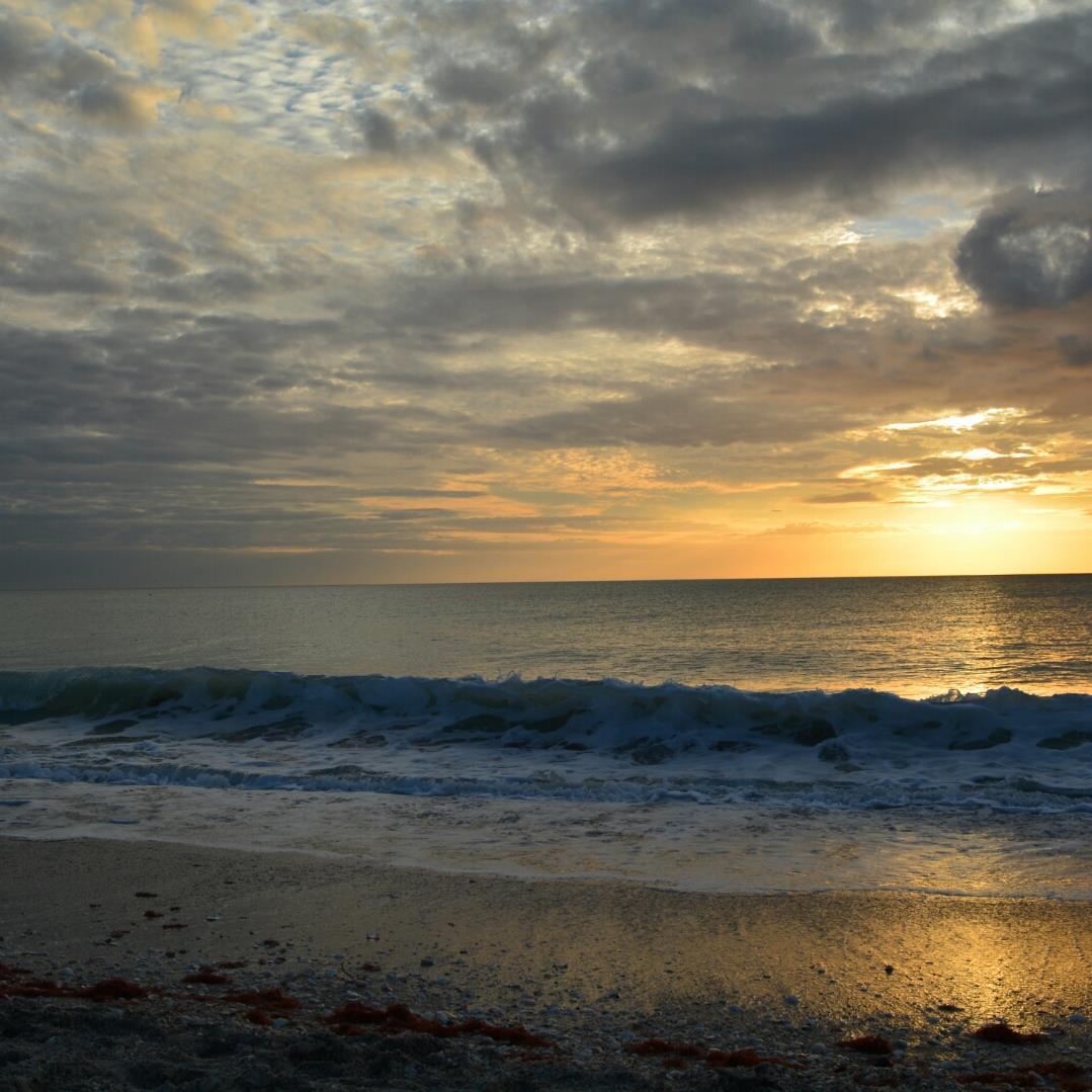 TimBoudreau's profile picture. Retired FedEx