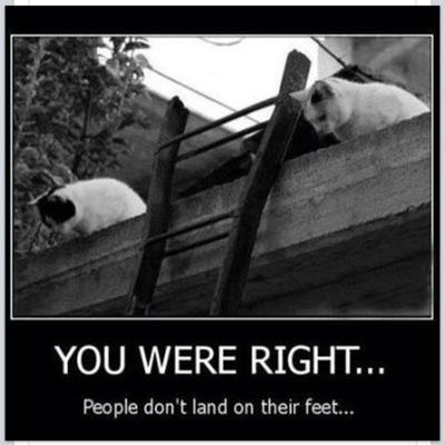 cookmik298's profile picture. waz upppp