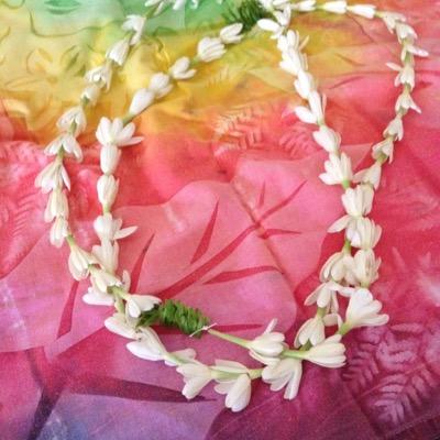 CathGoin's profile picture. 