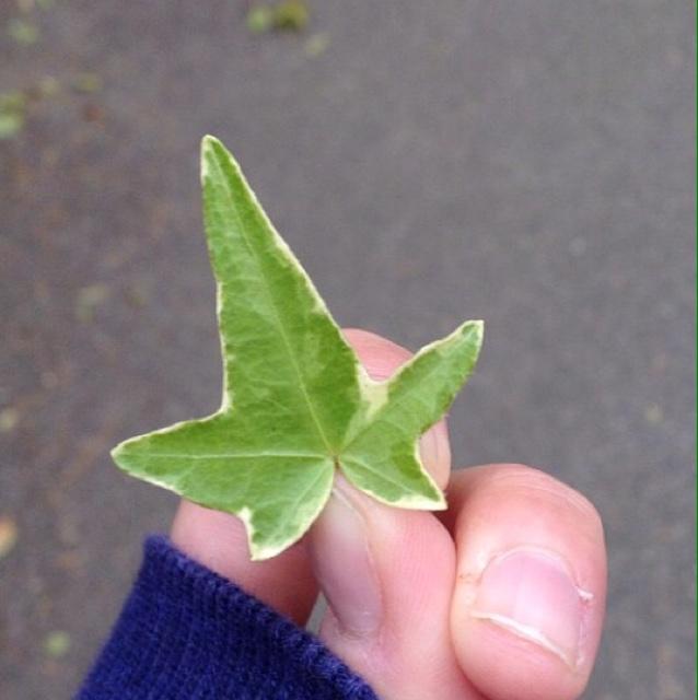 elinonsa's profile picture. 