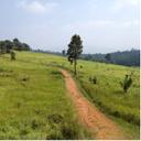 Tanyarat Pomsuwan (@001Makenai) Twitter