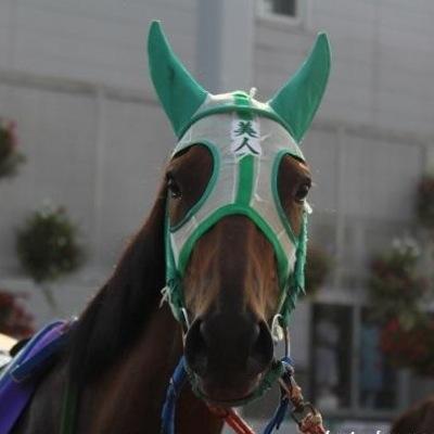 トウホクビジンをきっかけに地方競馬にハマり、本橋ジョッキーを応援している人。2020年1月29日に現存地方競馬全場踏破。時々🚴🏻‍♂️🏍️の話題も。あと相撲。 最近は多忙につき低浮上。