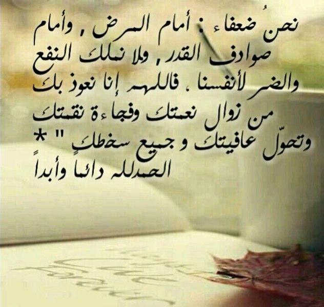 ‏‏‏احب الخير لكل العالم الاسلامي واتمنى ان تجتمع كلمت    المسلمين