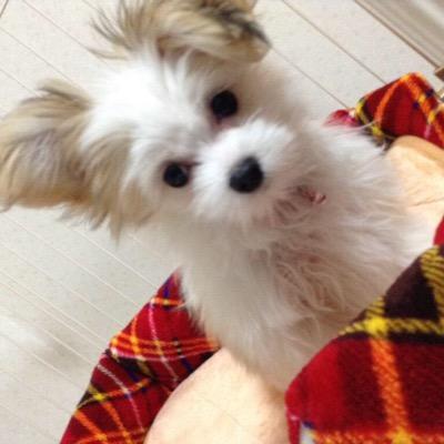 田中 健士郎 Kn3 0716 Twitter