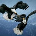 leslie midkiff - @leslie93237969 - Twitter