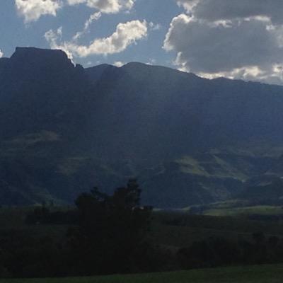 gunning_wayne's profile picture. 