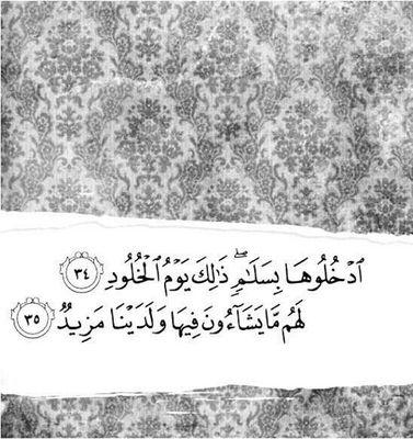 ‏‏‏‎ رجاء حسابات وصخه وإيباحيه لاتسوي فولو . أريد الجنه وليس النار .              ضيفوها مزتي @nozeee12349