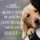 Laurie Conner - @wklcb3 - Twitter