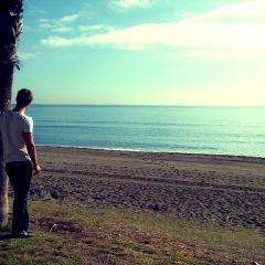 garciaboneta95's profile image