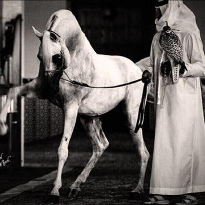 شاب بمفآهيم مختلفہ طموح أعشق التفرد،آثق بأن لآ آشبه أحد•أنيق وأنتقي گلمٱتي بَ ٱسلوب مختلف ۆ عقليَ يسبقنيّ بَ سنوات وذوقي لا يرتبط بذوق آحد.