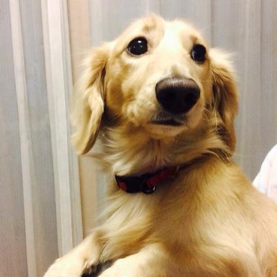 お腹がしあわせ