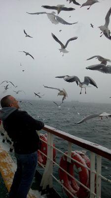 ogzkrs's profile picture. yalan söyleyene kızmam yeterki inandırsın sanata saygım var.))