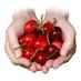 Arnolds Produce (@arnoldsproduce) Twitter profile photo Arnolds Produce (@arnoldsproduce) Twitter profile photo