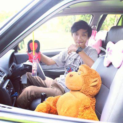 SanuCuplis's profile picture. 