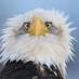 warpdeagle (@warpdeagle) Twitter profile photo warpdeagle (@warpdeagle) Twitter profile photo