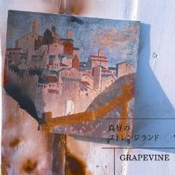 GRAPEVINE🍇とSexyZone🌹が生きる糧…!GRAPEVINEのこと、日常のことをつぶやきます✨GRAPEVINE好きの皆さんと友達になりたい(^^)気軽にフォローよろしくお願いします!【別垢🌹→Sexy Zone垢 @krkr_haru】