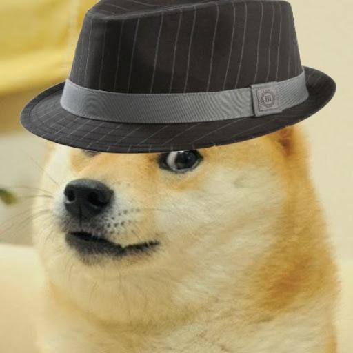 PBidle's profile picture. 