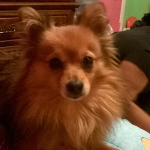 jasmine_stocker's profile picture. 