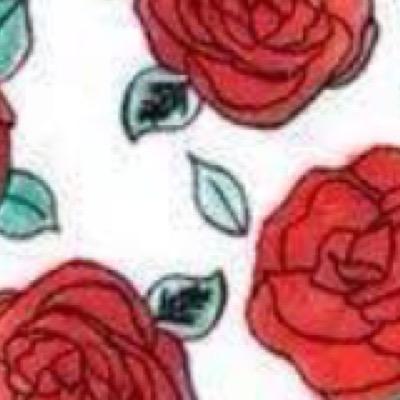 berltra's profile picture. 