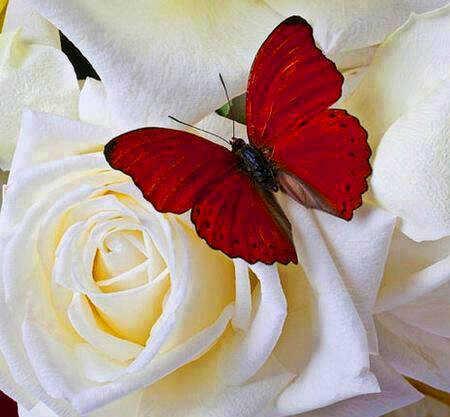 Chikitamilla's profile picture. Together forever | family♥ | simple (: