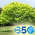 In search of business ideas for a bright green future.