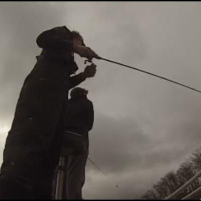 bigbasshagen's profile picture. Dream Chaser / Go follow my main account @frankiefresh7