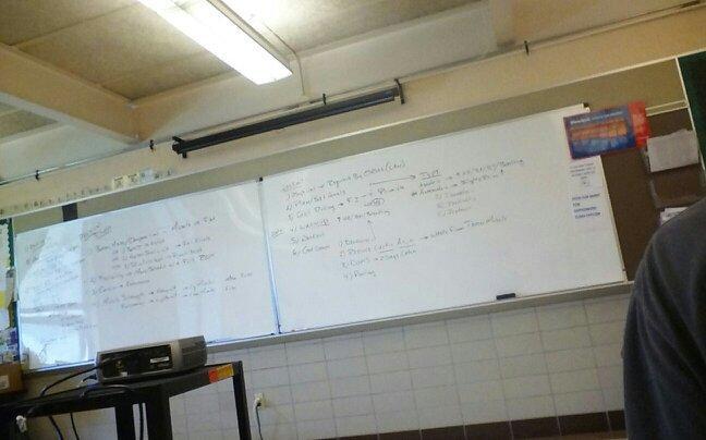 imnotDELANEY's profile picture. 