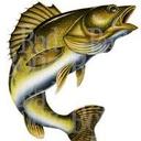 Roy Kinney - @rkinney316 - Twitter