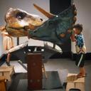 Kate Forest Ranney - @KateRanney - Twitter