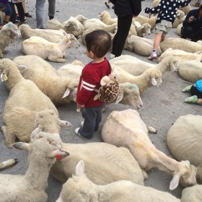 2015.01 ツイッターを始めてみました。 ドラマ足利 エタナ エルドラ 2023.05〜ポケカ