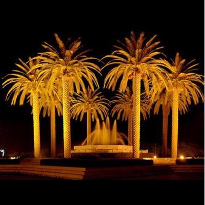 ليس هُناك شيء إسمه  فاتك القطار  كل القطارات لها طريق عودة ، تفائلوا خيراً وستجدونه.!